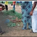 Screenshot_20230123-224049_copy_648x379