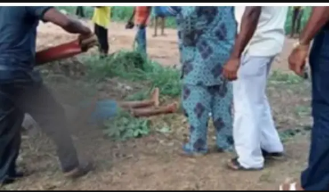 SHS prefect dies after falling off mango tree