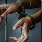 newslite1667107755447