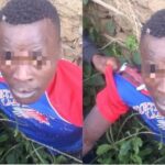 newslite1672785805882