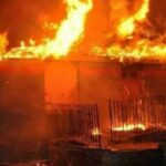 newslite1673218905410