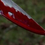 newslite1673293456424