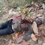 newslite1673377866494