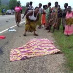 newslite1674073191346