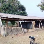 newslite1674073986518