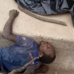 newslite1674425448575