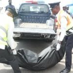 newslite1674429892763