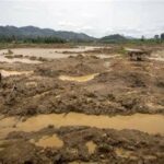 newslite1674512115052