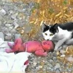 newslite1674513244879