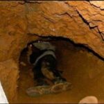 operanews1673481474101