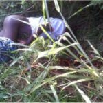 newslite1675466119743