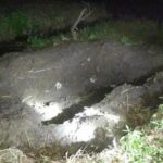 newslite1675550348827