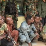 newslite1676931453394