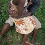 newslite1677006754352