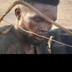 newslite1677103415897