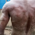 7E152B90-24E5-4542-929F-BDFAC1F4FCFB