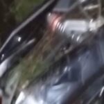 C9C6F1D9-781B-49C5-87CC-8A04F9E75EE4