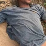 newslite1677757370345