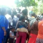 newslite1677757563317