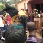 newslite1678832922411