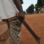 newslite1678833123311