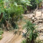 newslite1678833374774