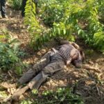 newslite1678997972632