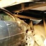 newslite1678999612431