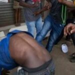 newslite1679142240107