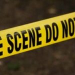 newslite1679345123282