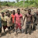 newslite1679345215712