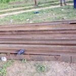 newslite1679570842954