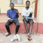 operanews1679006579187