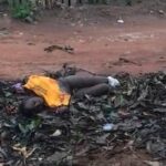 operanews1679006858289