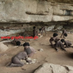 602CB4C9-FAD0-4F89-8A19-AF88CEC31C4E