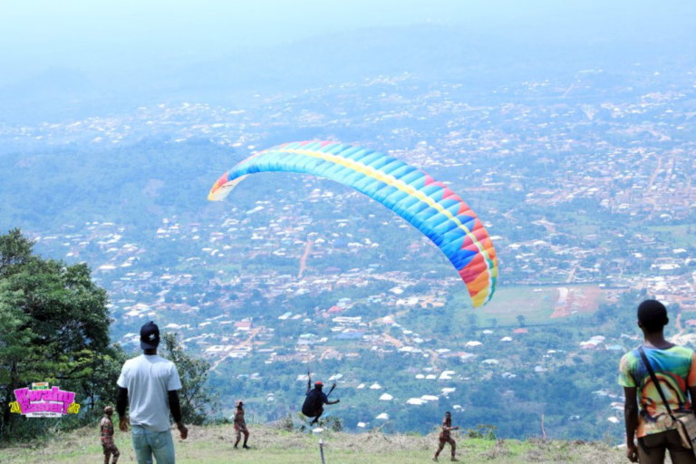 E2E0C251-D45F-4E98-B447-46E112DC1C17