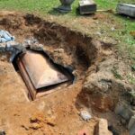 newslite1680279106146