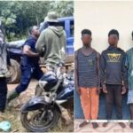 newslite1680455722327