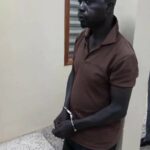 newslite1681078098492