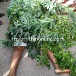 newslite1681339577142