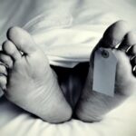 newslite1681339723222