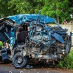 newslite1681341806730