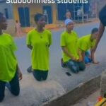 newslite1681940392878