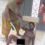 newslite1682458733494