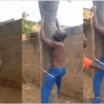 newslite1682888780751