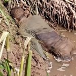 IMG-20230510-WA0050_copy_453x471