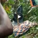 IMG_COM_20230512_1700_08_0701