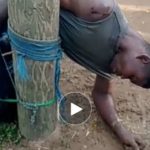 IMG_COM_20230512_2044_22_3401-1