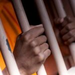 newslite1680278209212