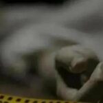 newslite1683018927732